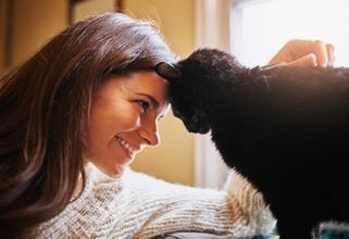 猫に『思いを伝えたい』ときの方法3つ　良好な関係を保ちながら気持ちを届けるコツ