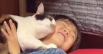 長男のことが大大大好きな『三毛猫』→寝る前になると…想像を超えてくる光景が142万再生「ジブリみたいな躍動感」「前世で夫婦だったかも」