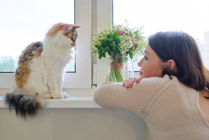 猫を『子ども扱いしすぎる』と起こるトラブル3つ　過度な愛情は逆効果に？心がけたい適切な距離感も