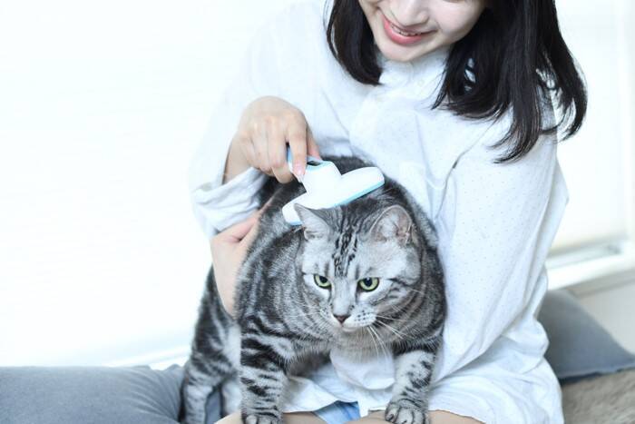 猫の『しっぽ』に起こる病気やケガ4選　見逃せないサインや予防法も解説