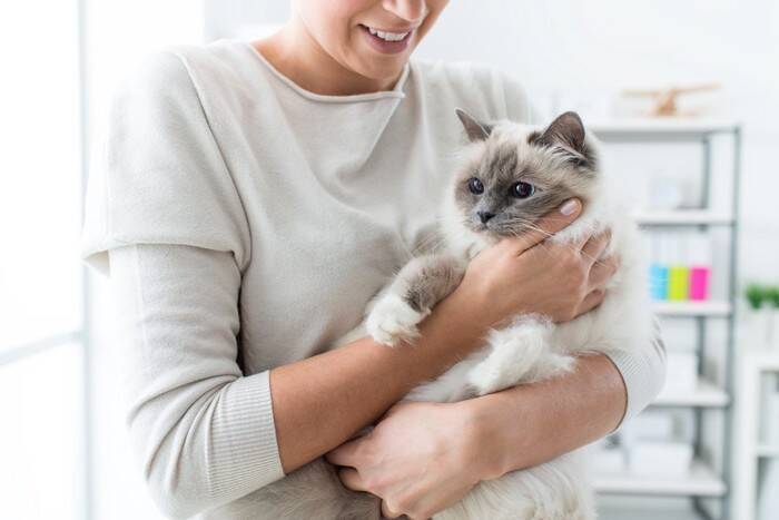 猫とする『スキンシップ前』に確認すべきこと3つ　するとしないとでは大違い？避けるべき行為まで
