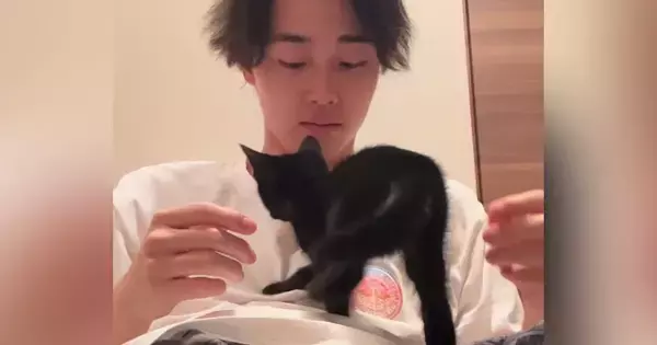 保護子猫たちが家に来てわずか"5分後"…完全に想定外な『可愛すぎる行動』が14万再生「安心できたんだね」「すぐ慣れてよかったｗ」