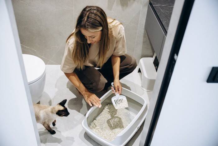 猫が『我慢している』ときにみせるサイン7つ　ケガや病気を隠していることも？気付くためのポイントまで