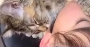 猫を優しく抱き寄せて寝かしつける女の子……涙が出るほど『尊い光景』に１万いいね「手の動きがまさにお母さん」「お互い大好きなんだね」