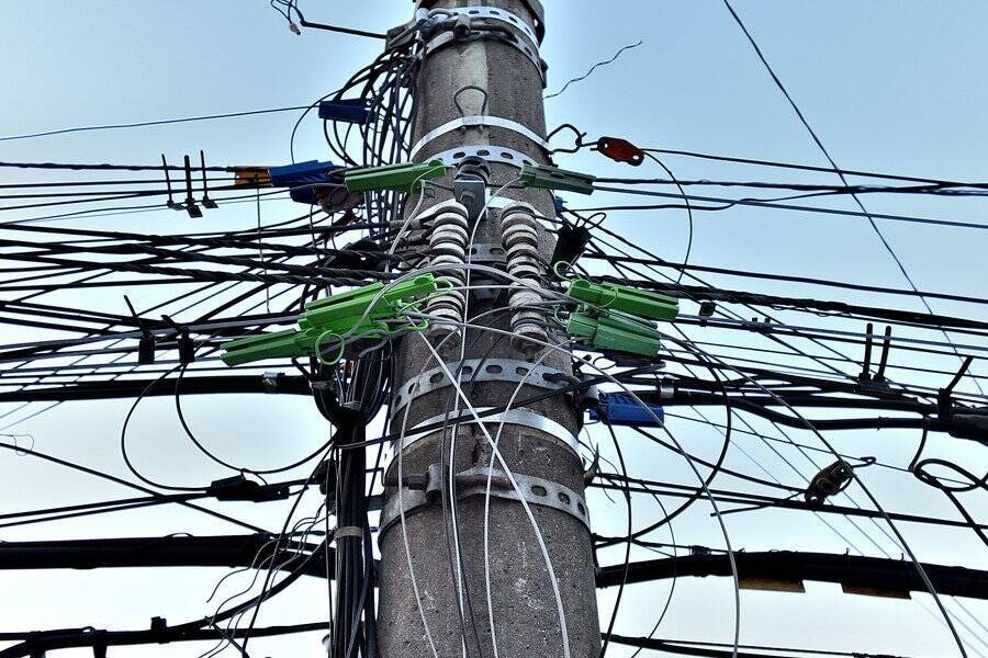 「助けてニャー」　高圧線の電柱に登って降りられなくなった飼い猫　夜になってやっと救出される　カナダ