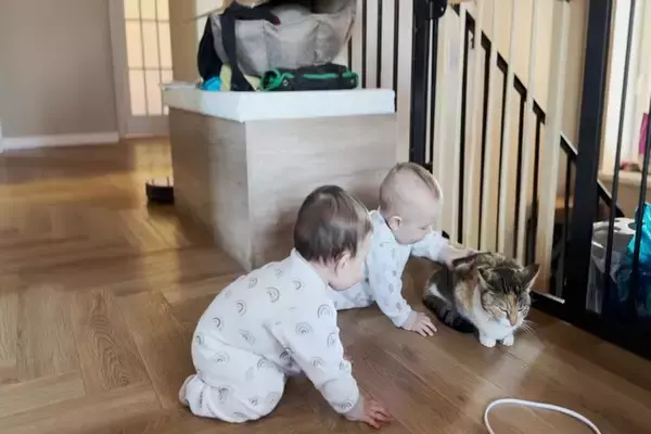 子どもと仲良くなれる猫に共通する特徴3つ　飼い主が心がけるべき注意点も解説