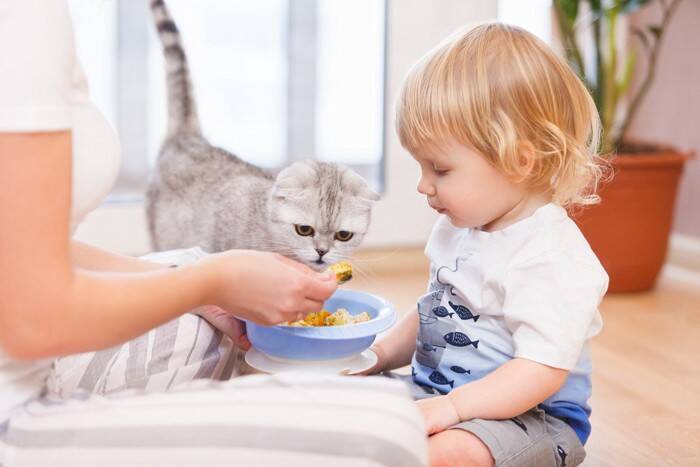 子どもと仲良くなれる猫に共通する特徴3つ　飼い主が心がけるべき注意点も解説