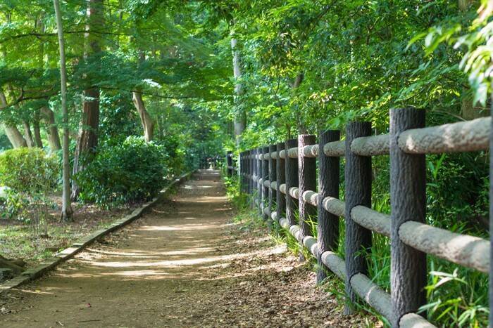 猫好きにはたまらない『猫にまつわる聖地』8選　猫島や神社など魅力あふれる名所をご紹介