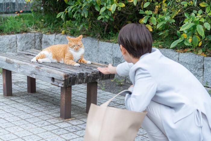 猫好きにはたまらない『猫にまつわる聖地』8選　猫島や神社など魅力あふれる名所をご紹介