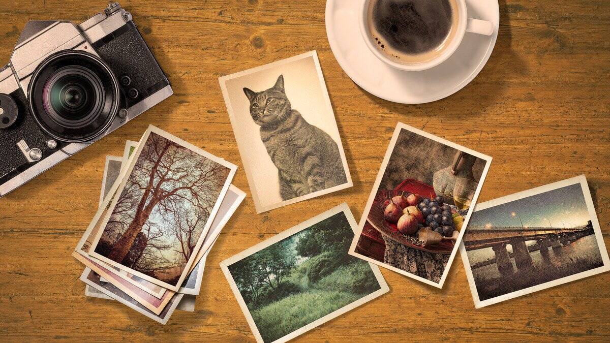 天国に旅立った愛猫が『やめてほしい』と思っていること５選　悲しいお別れを乗り越えるための心得まで