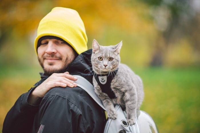 猫を『旅行に連れて行く』前に検討すべき注意点6つ　必要になる準備や負担を減らす方法も解説
