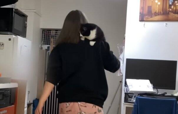 どうしてもママに抱っこしてほしい猫→応じざるを得ない『おねだりの様子』に笑顔になる人続出「甘えっぷりが可愛い」「ニヤニヤした」