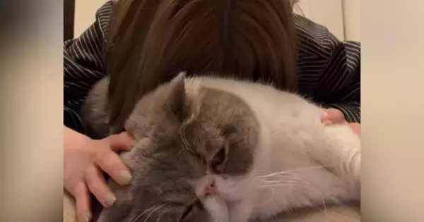 『猫吸い』を堪能していたら、愛猫が怒ってしまい…『まさかのお仕置き』に爆笑の声続出「ガッツリロックされてるｗ」「ご褒美だね」と16万再生