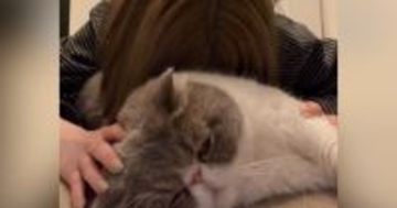 『猫吸い』を堪能していたら、愛猫が怒ってしまい…『まさかのお仕置き』に爆笑の声続出「ガッツリロックされてるｗ」「ご褒美だね」と16万再生