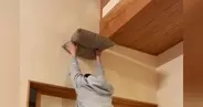 座布団を持って両手をあげていると、猫がやって来て…『まさかの瞬間』が53万再生「自らキャットタワーになるとは…」「通じ合っているｗ」