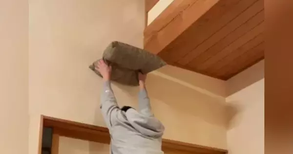 座布団を持って両手をあげていると、猫がやって来て…『まさかの瞬間』が53万再生「自らキャットタワーになるとは…」「通じ合っているｗ」