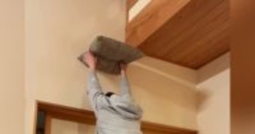 座布団を持って両手をあげていると、猫がやって来て…『まさかの瞬間』が53万再生「自らキャットタワーになるとは…」「通じ合っているｗ」