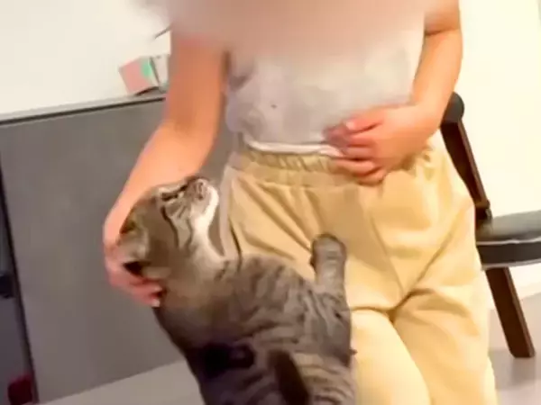 一緒に遊ぶ６歳の女の子と猫→まるで本当の姉妹のようで…あまりにも尊い『種族を超えた愛』が23万再生「さすが前世姉妹」「かわいすぎて悶絶」