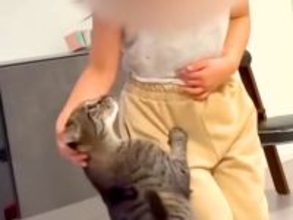 一緒に遊ぶ６歳の女の子と猫→まるで本当の姉妹のようで…あまりにも尊い『種族を超えた愛』が23万再生「さすが前世姉妹」「かわいすぎて悶絶」