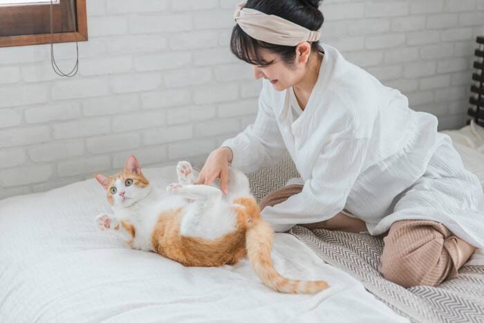 猫の『お腹の柄』に隠されている3つの不思議　白い毛色が多いのはどうして？