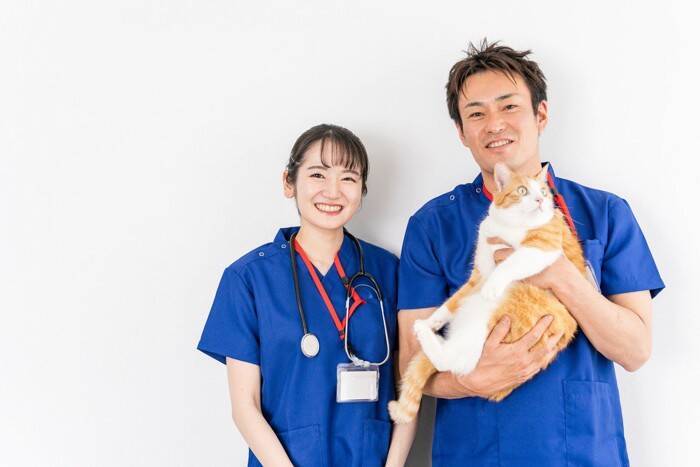 猫が通う『動物病院』を決める方法4つ　どう探せばいいの？信頼できる病院の見分け方とは