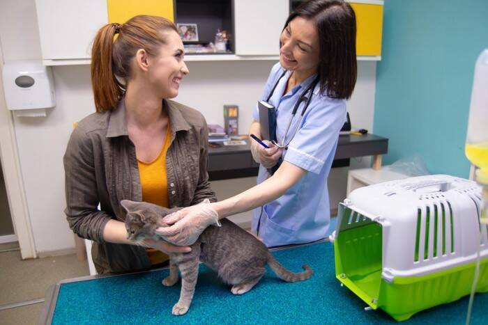 猫が通う『動物病院』を決める方法4つ　どう探せばいいの？信頼できる病院の見分け方とは