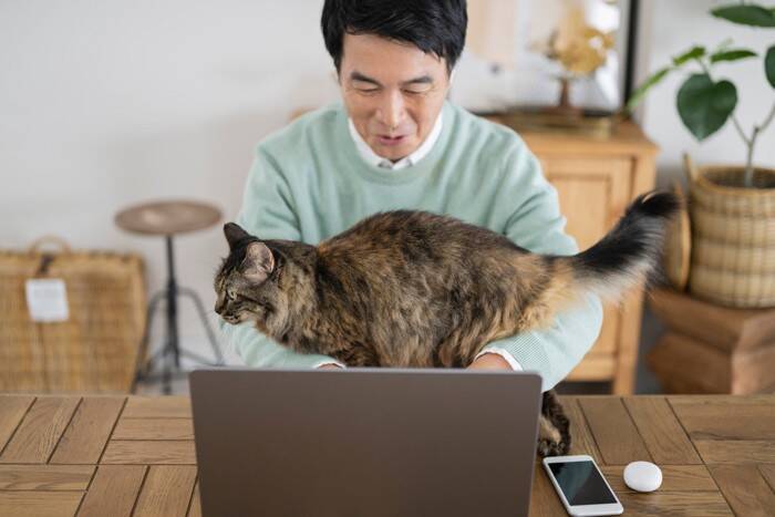 飼い主が愛猫に『やめてください』と願うこと5選　困った行動の理由や対策のコツも