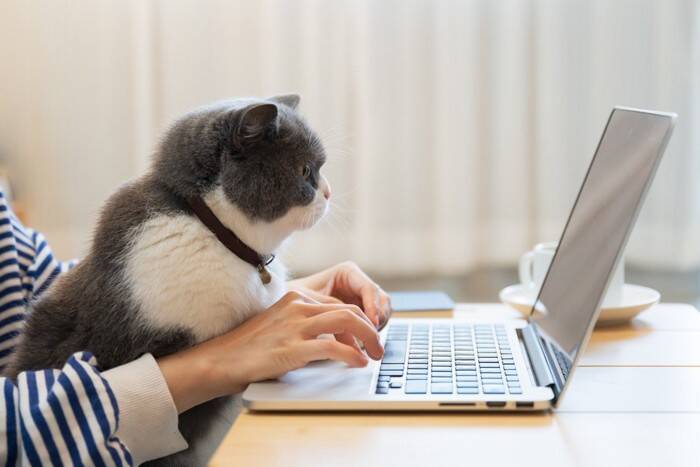 猫との暮らしで『思わず笑ってしまう』瞬間4選　あなたはいくつ共感できますか？
