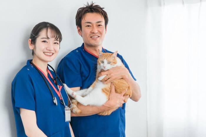 猫を『動物病院』に連れて行くタイミング4つ　定期的に行くべき理由やメリットも解説