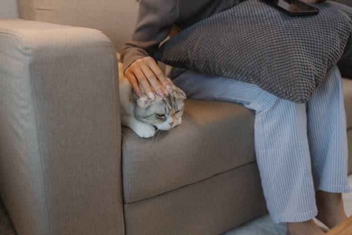 猫がみせる『気遣い・遠慮』をしているような行動5選　優しい素振りに隠された本音とは？