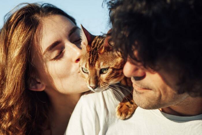 猫が『家族のケンカ』に反応する理由3選　仲裁しているの？割って入ろうとする心理とは