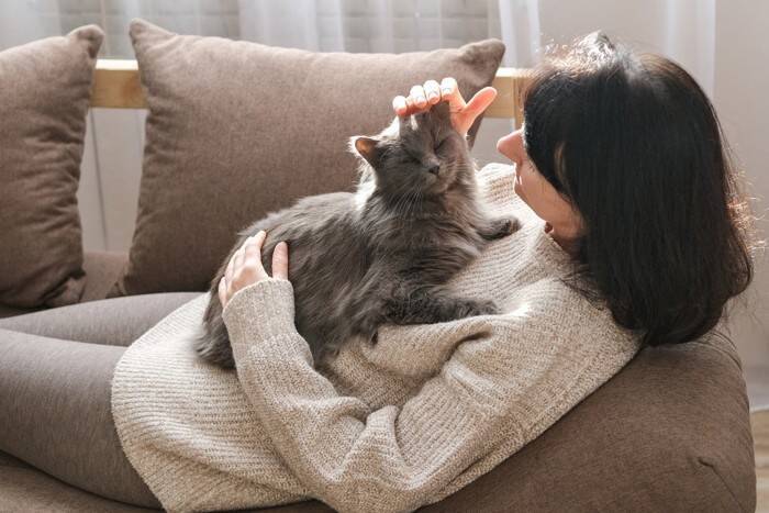 猫が『家族のケンカ』に反応する理由3選　仲裁しているの？割って入ろうとする心理とは