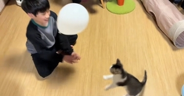 小学生のお兄ちゃんが子猫と『風船』で遊んだ結果…まさかの光景に「最高のパートニャーｗ」「本当にほっこりしたｗ」と55万再生の反響