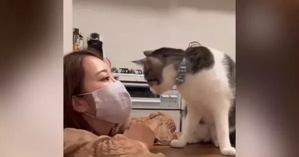 飼い主が『布マスク』をつけて待っていると…猫がとった『まさかの行動』に「可愛すぎて涙が出る」「めちゃめちゃ羨ましい」と21万再生