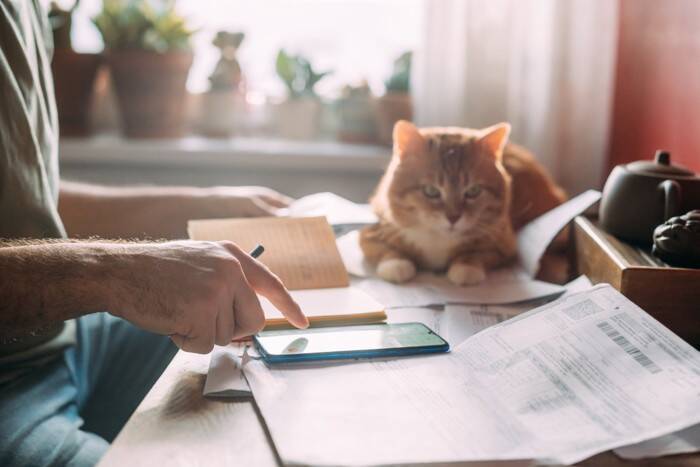 猫を飼うなら覚悟したい『ネガティブ』な瞬間5選　よくある困りごとや上手な向き合い方