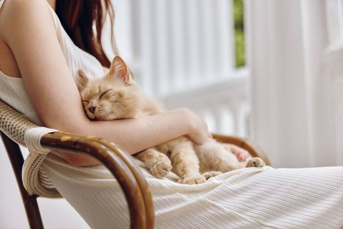 猫に対して『虐待』になりうるNG行動5選　苦痛を与えてしまう理由や見直すべきこと