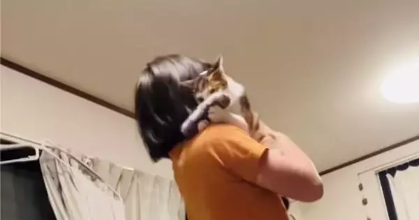 娘が猫に『お気に入りの手袋』を振って見せると…見事すぎる『コンビ芸』が56万再生「何度も見ちゃったｗ」「マジですごいｗ」と絶賛の声