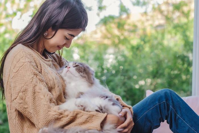 猫の長寿につながる『環境づくり』のポイント5つ　愛猫の健康を守るために心がけるべきこととは