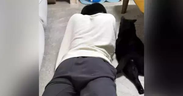 同じ体勢で寝転がっていた猫とお兄ちゃん→仲良く眠っているのかなと思ったら…予想外の『尊すぎる瞬間』に「ぎゃわいい」「あまりにも仲良し」