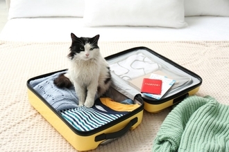 猫を迎えると『できなくなること』3つ　日常に訪れる変化や飼い主に必要な心得