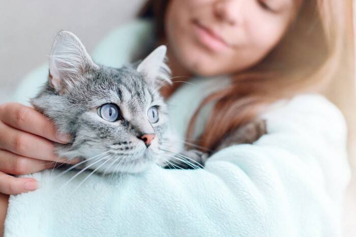 猫を迎えると『できなくなること』3つ　日常に訪れる変化や飼い主に必要な心得