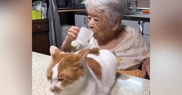 おばあちゃんが口をゆすごうとしたら、『目の前にいた猫』が…ハプニングの瞬間が178万再生「ラブラブすぎｗ」「電車で笑ってしまったｗ」