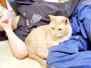 男の子にピッタリ寄り添う猫→『犬みたい』と言われると…思わずほほえんでしまう『愛おしい光景』に反響「ほっこり」「落ち着くんだろうね」
