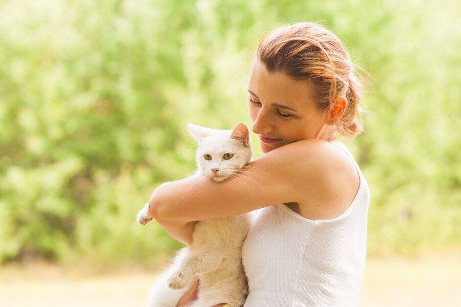 「ガス爆発事故」が愛猫の性格を180度変えた！　いまでは放浪好きな人気猫に　英国