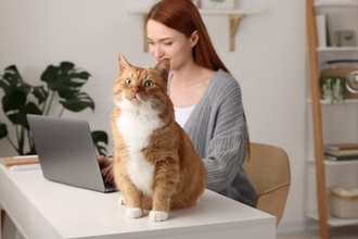 猫から『忘れられやすい人』に当てはまる特徴4選　印象が薄くなる理由や記憶してもらう方法まで