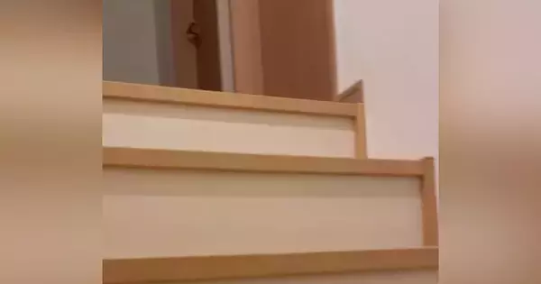 階段を上る飼い主→『猫のおしり』が見えてきて…思わず吹き出す『まさかの光景』が29万再生「朝から声出して笑った」「予想できなかったｗ」