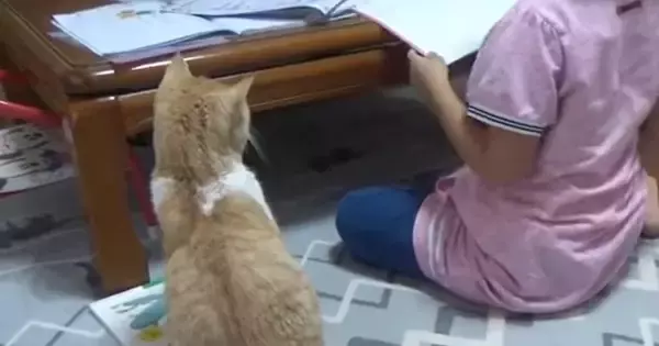 女の子が『宿題』をしていると、『猫』が机の上に乗ってきて…思わず笑ってしまう展開に「素晴らしい関係性」「絶対わざとだよねｗ」の声