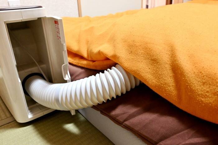 濡れている猫を『上手に乾かす方法』4選　時短に済ませるコツや工夫をご紹介