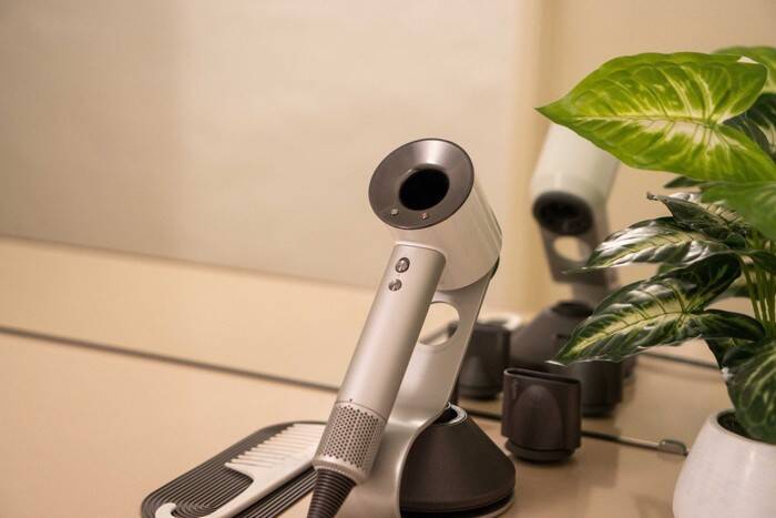 濡れている猫を『上手に乾かす方法』4選　時短に済ませるコツや工夫をご紹介