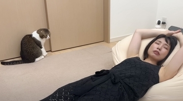 爆睡中のママ→何をしても起きなくて……キレたパパ猫がとった『まさかの行動』が65万再生「おっさん嬉しそうｗ」「随分な荒技で爆笑した」